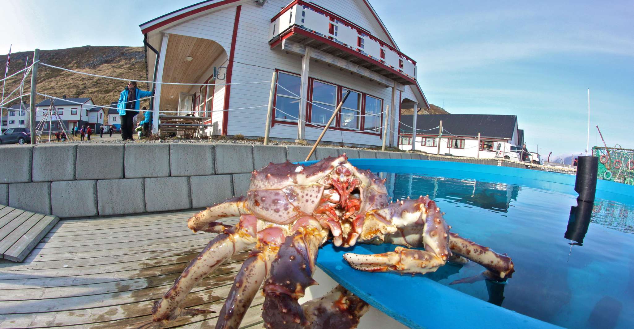 From Honningsvåg, VIP North Cape and Kingcrab Tour - Housity