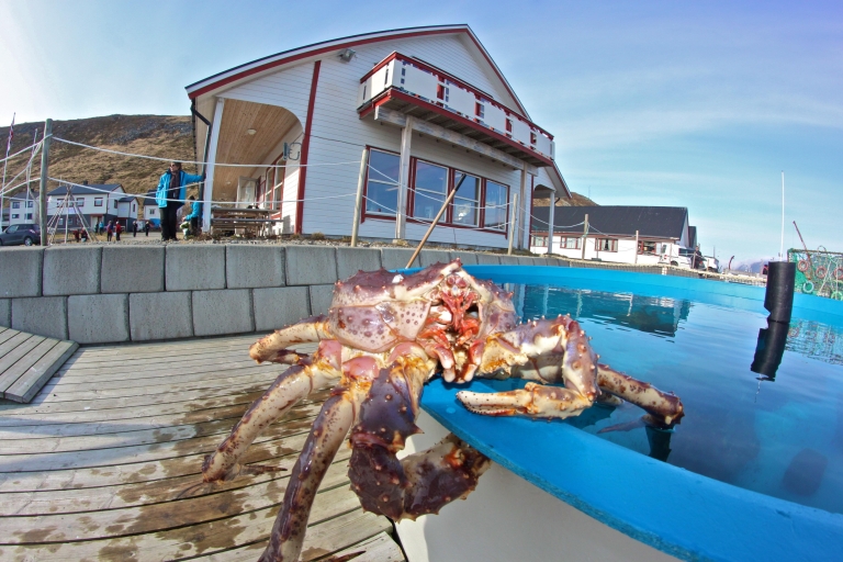 Z Honningsvåg: Wycieczka na Przylądek Północny i kraby królewskieZ Honningsvåg: North Cape i King Crabs Tour