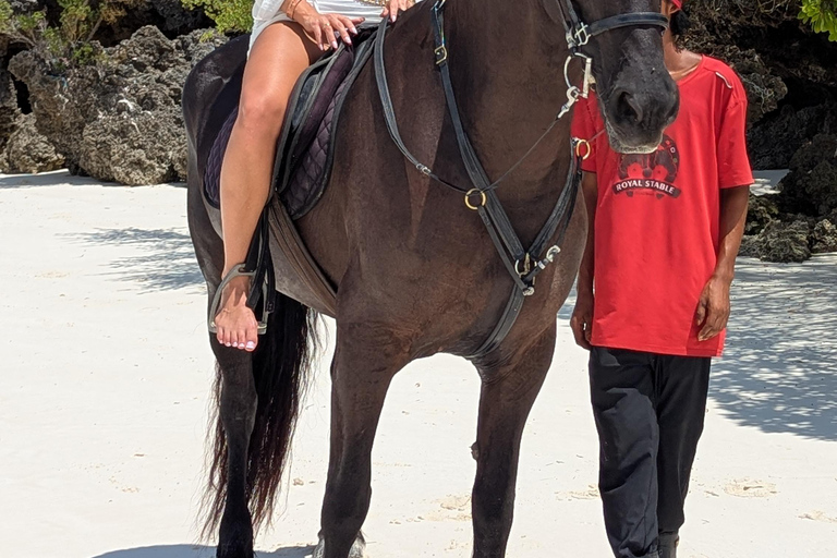 Zanzibar: Beach Horse Riding At Jambiani With Hotel Pick up PRIVATE TOUR WITH HOTEL PICK UP & NO ENTRY FEE INCLUDE
