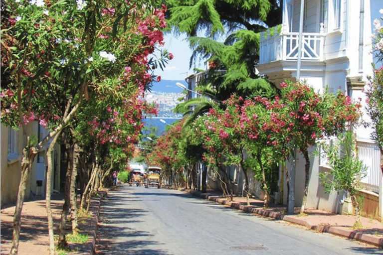 Istanbul:Princess Island(Büyükada)& Island Electric Car Trip Tour only includes guidance.