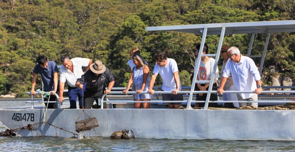 Pearl & Oyster Farm Hawkesbury River Cruise