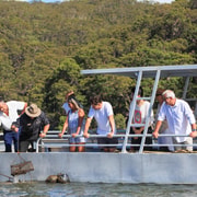Pearl & Oyster Farm Hawkesbury River Cruise