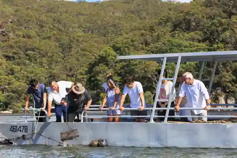 Pärl- och ostronodling Hawkesbury River Cruise