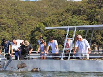 Crociera sul fiume Hawkesbury con la fattoria delle perle e delle ostriche