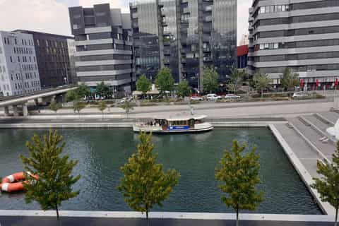 Lyon: New and Old Town Walking Tour with Boat Trip