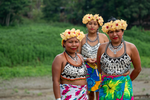 Panamá: tour privado a la comunidad Emberá y al Santuario de PerezososPanamá: Tour privado a la comunidad Embera y al santuario de perezosos