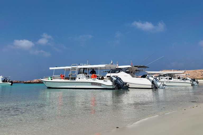 Muscat - Vivez une aventure inoubliable de plongée à deux bouteilles