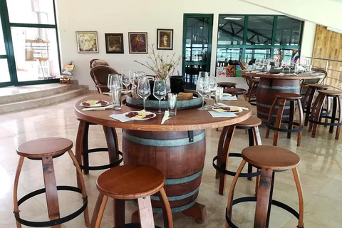 From Plovdiv: Wine Workshop with Blending and Tasting