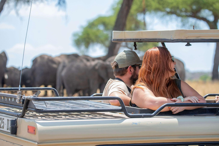 7-tägige Tansania-Safari-Tour7-tägige Safari-Tour durch Tansania