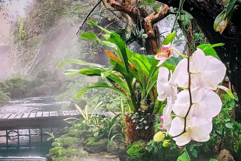 Chiang Mai: Sticky Waterfall, Bamboo Rafting, & Lunch
