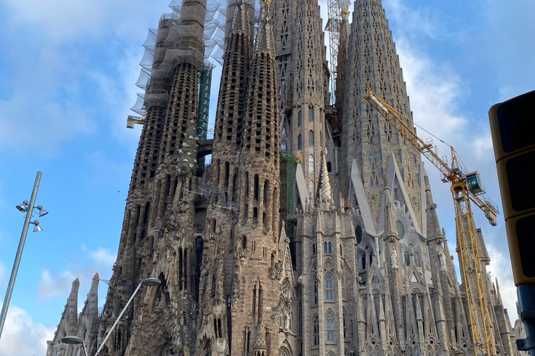 Full/Half day Barcelona highlights with entrances & Tasting Full Day with Transport,Tasting&Entrances (Maximum 9 people)