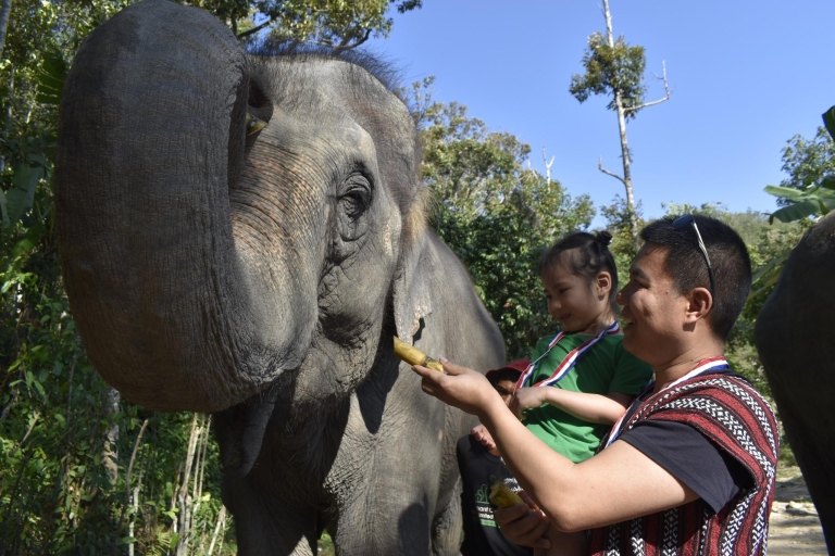 Phuket: Ethisch opvangcentrum voor olifanten Nai Dee PhuketOptie B: Basiservaring van een halve dag