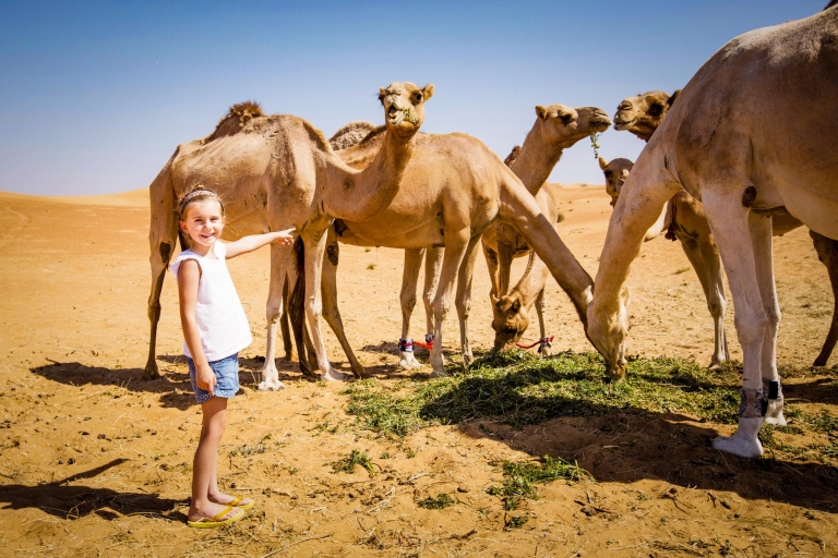 Abou Dabi : excursion dans le désert avec balade en chameauVisite privée