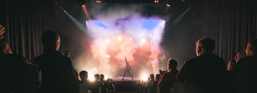 Neu-Ulm : Billet pour un spectacle de magie