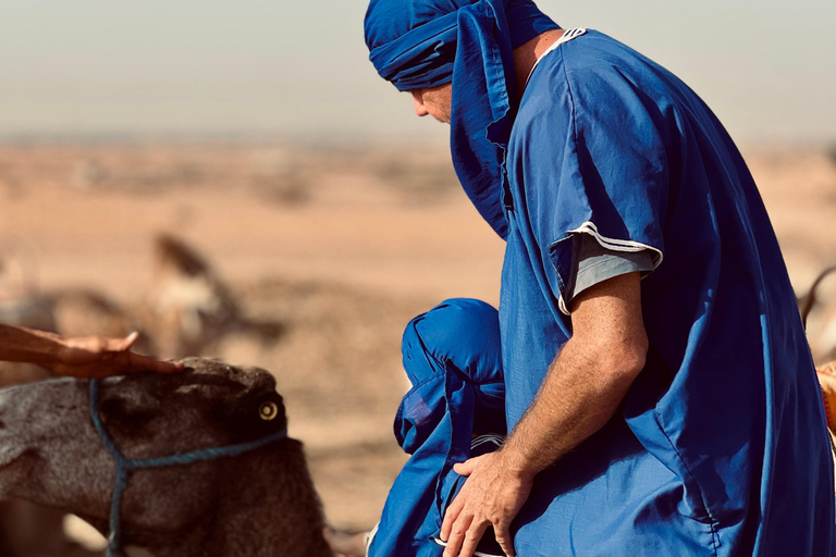Camel Ride Adventure Through Marrakech’s Desert Villages