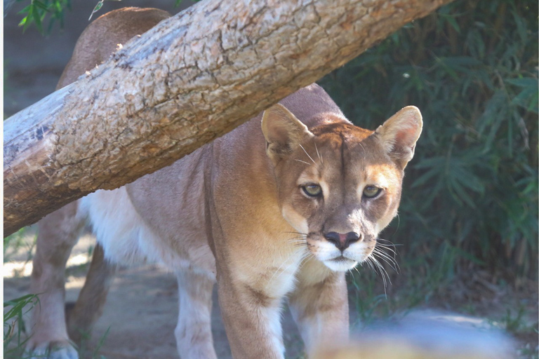 Santa Cruz: Wildlife Sanctuary and Preservation Park Tour