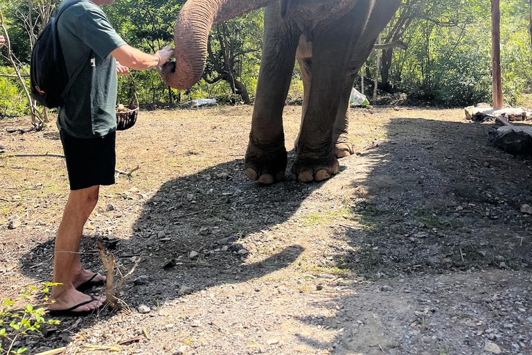 Krabi: Ethical Elephant Sanctuary & Tiger Cave Temple Tour