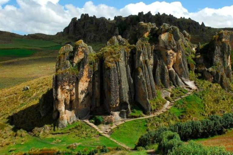 Cajamarca: Sexemayo Nature Tour & Forest Walk Cajamarca: Sexemayo Nature Tour – English Guide