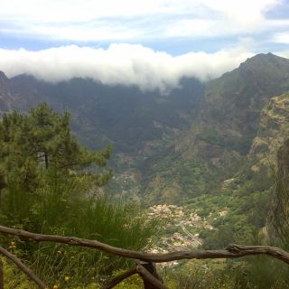 Funchal: tour privato di mezza giornata della valle delle monache