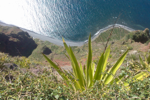 Funchal: visite privée d'une demi-journée de la vallée des nonnesFunchal: visite en petit groupe de la vallée des nonnes