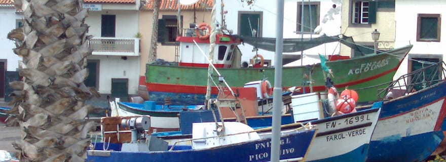 Madère Sud-Ouest : Excursion privée d'une demi-journée