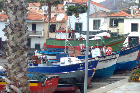 Sudoeste da Madeira: excursão privada de meio dia