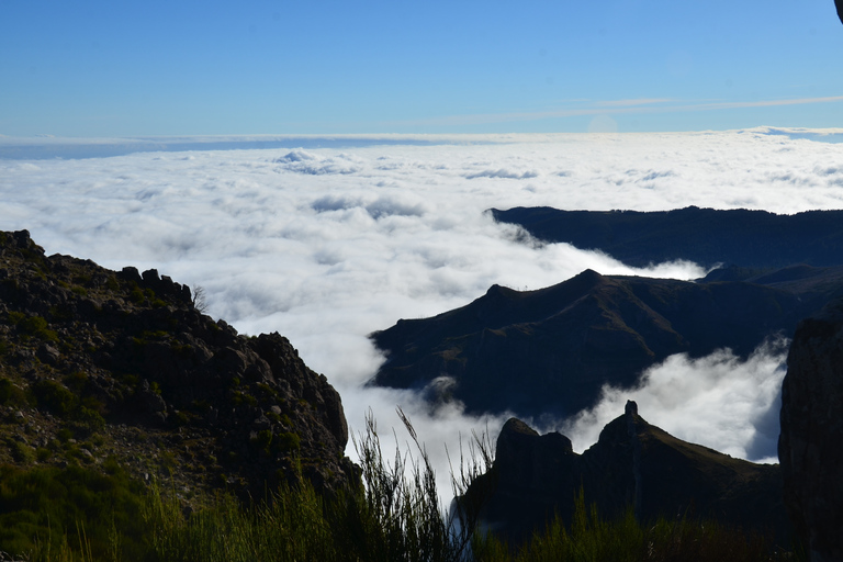 From Funchal: East Tour Madeira 4x4 Jipe Tour Santana HousesShared Group Tour