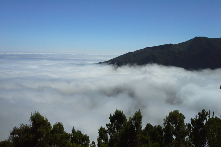 From Funchal: East Tour Madeira 4x4 Jipe Tour Santana HousesShared Group Tour