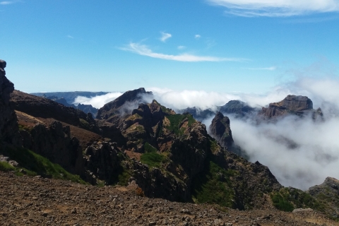 From Funchal: 4x4 Tour of Eastern Madeira Private Tour
