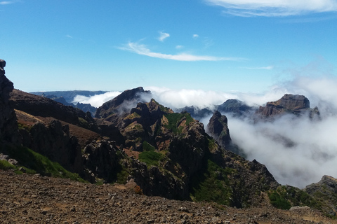 From Funchal: East Tour Madeira 4x4 Jipe Tour Santana HousesShared Group Tour