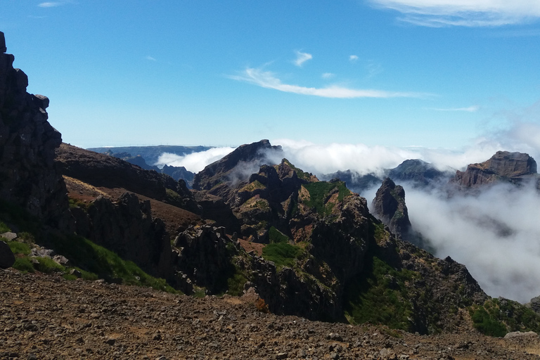 Ab Funchal: 4x4 Tour durch den Osten MadeirasGemeinsame Gruppentour