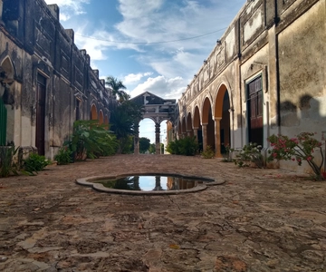 Von Merida aus: Uxmal, Hacienda Yaxcopoil und Cenote mit Mittagessen