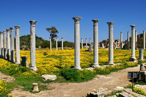 Famagusta & Salamis with Italian-speaking Guide