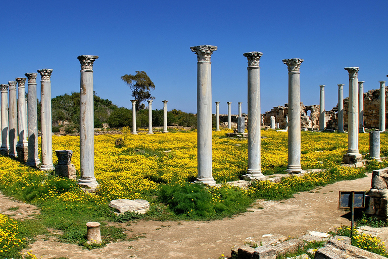 Famagusta & Salamis with Italian-speaking Guide