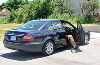 Montego Bay, Aeroporto MBJ Trasferimenti a tutti gli hotel in tutta l'isola - Housity