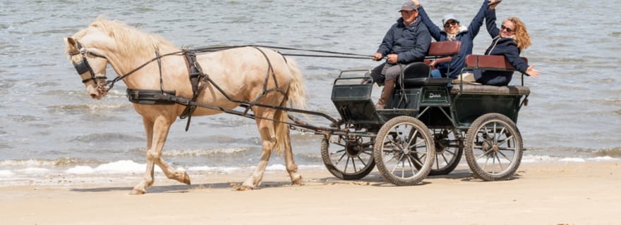 Promenade en calèche sur la plage (plage de Rosário)