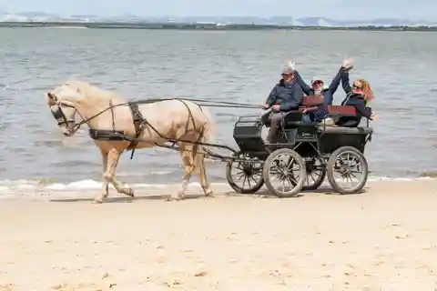 CARRIAGE Ride On The Beach (Rosário Beach)