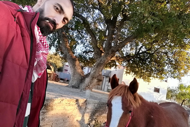 Nord-ouest de la Jordanie : voyage historique, culturel et spirituel.