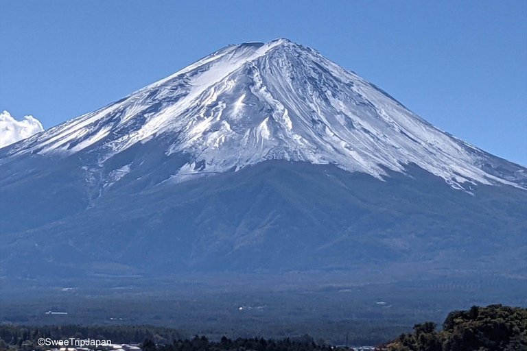 From Tokyo: Mount Fuji Full Day Customizable Tour With Guide ITINERARY B: Mount Fuji & Hakone Customize Tour With Guide