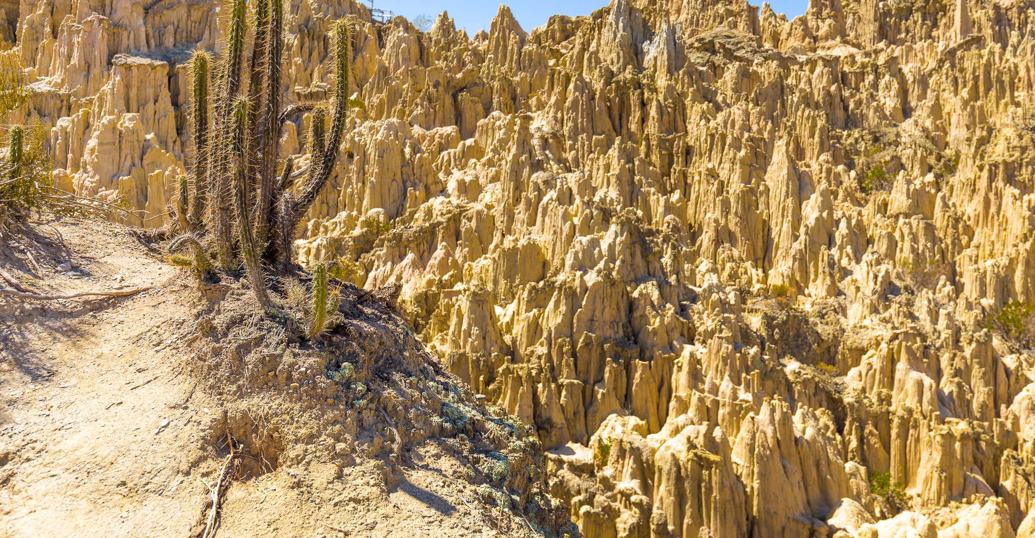 From La Paz, Day Trip to Chacaltaya and Moon Valley - Housity