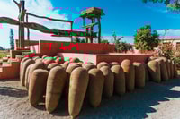 Dal tour ICA o Huacachina, Vine e Pisco Vineyards - Housity