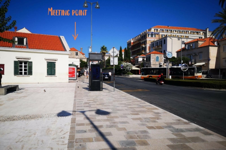 Dubrovnik: tour histórico a pie de murallas y guerrasTour privado