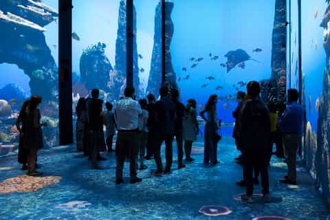 Oceanographic Museum of Monaco Ticket