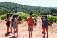 Tour de Día de Arrábbra y Sesimbra y degustación de vinos - Housity