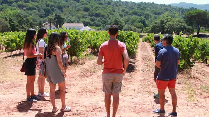 excursão a arrábida e sesimbra com degustação de vinhos