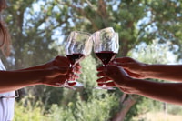 Tour de Día de Arrábbra y Sesimbra y degustación de vinos - Housity