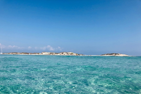 Depuis Ibiza: excursion d'une journée en voile à FormenteraVisite privée