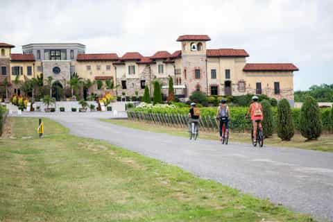 Niagara-on-the-Lake: E-Bike Wine Tour with Lunch & Tastings