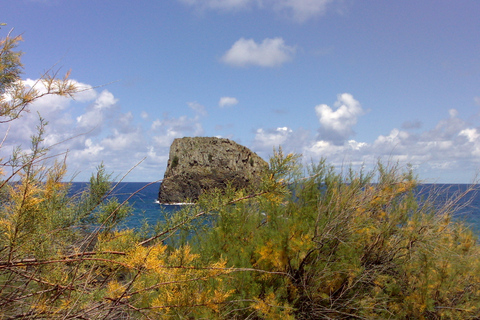 Van Funchal: tour langs de oostkust van MadeiraPrivétour