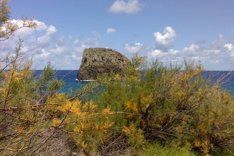 Van Funchal: tour langs de oostkust van MadeiraPrivétour